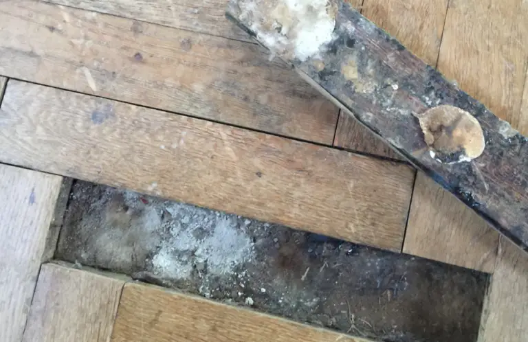 Why Are Moisture Readings Important Before Installing New Flooring
