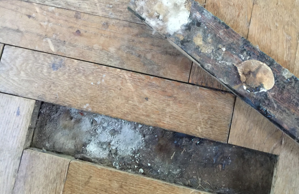 Why Are Moisture Readings Important Before Installing New Flooring