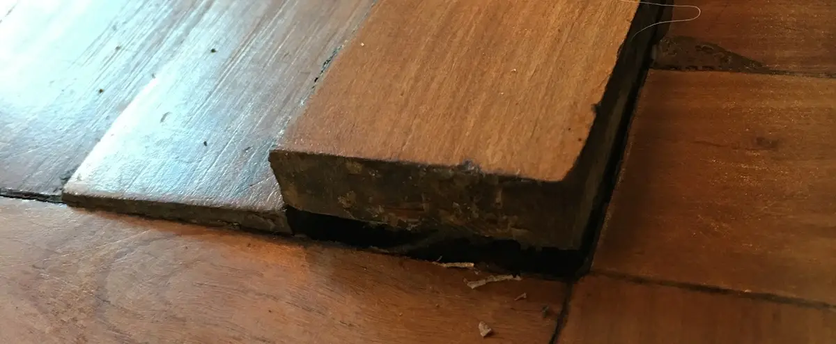 Wood- Floor Inspector